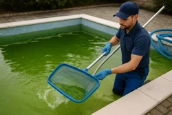 Green Water Pool Cleaning Box Hill