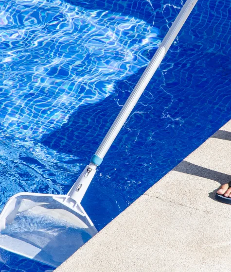 Expert Pool Cleaning Services