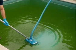 pool chlorination Caulfield East