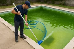 pool algae removal Gardenvale