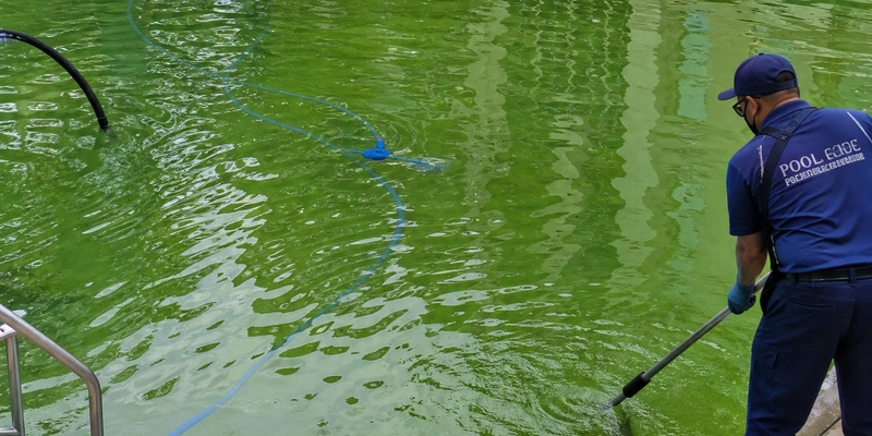 Commercial green pool cleaning in Mentone
