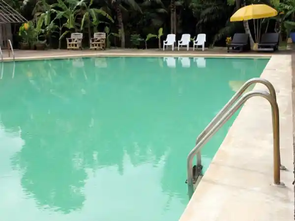 Green Pool Cleaning Melbourne
