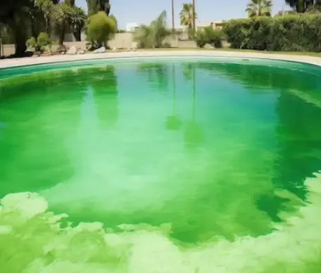 Green pool recovery service