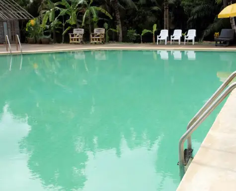 pool cleaning services Gardenvale