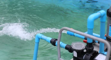 pool pump replacement Chadstone