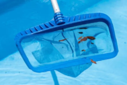 pool cleaning Elwood