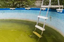 pool cleaning Elwood